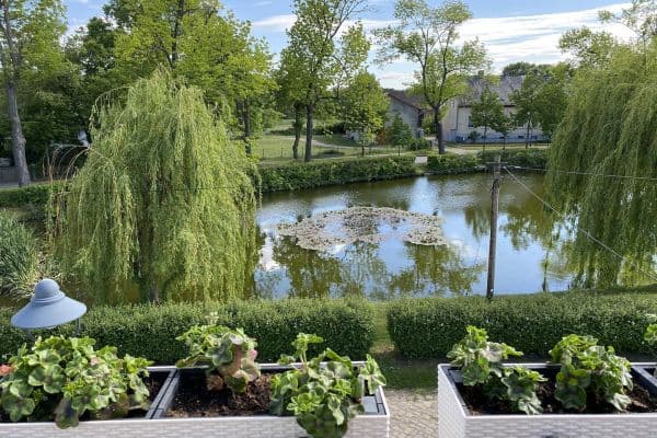 Predaj domu 303 m², pozemok 4.360 m², Stahnsdorf Predaj domu 303 m², pozemok 4.360 m², Stahnsdorf