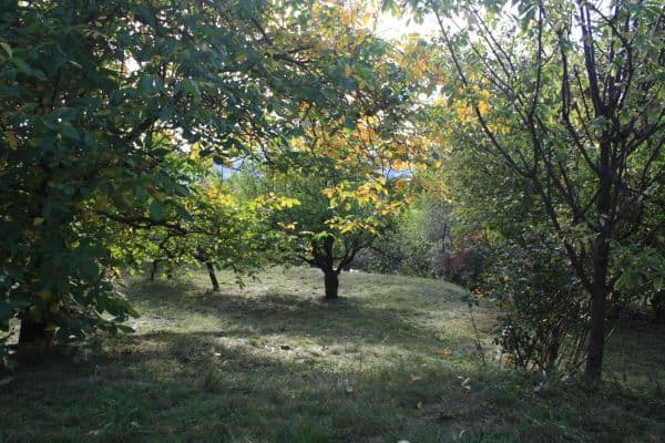 Predaj pozemku 1.152 m², Chrudim Predaj pozemku 1.152 m², Chrudim