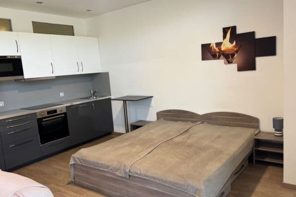 Prenájom bytu 1-izbový 48 m², Dostihová, Vizovice Prenájom bytu 1-izbový 48 m², Dostihová, Vizovice