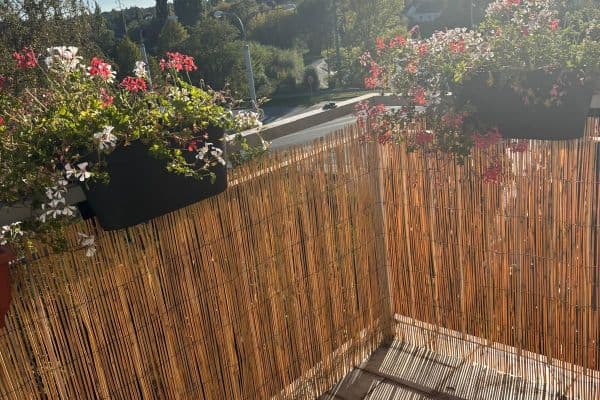 Prenájom bytu 2-izbový 50 m², Květná, Plzeň, Plzeňský kraj Prenájom bytu 2-izbový 50 m², Květná, Plzeň, Plzeňský kraj