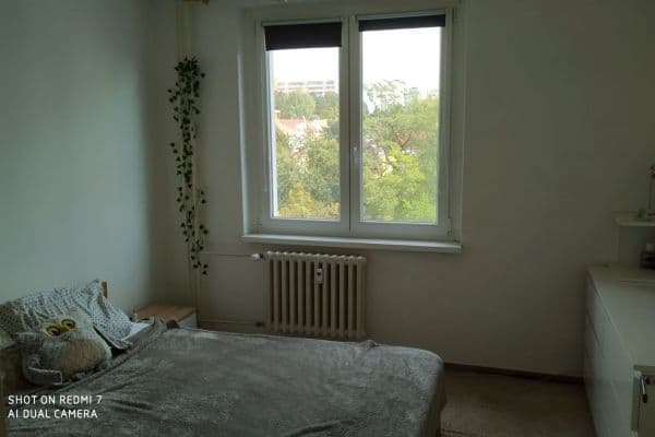 Prenájom bytu 2-izbový 44 m², Spodní, Brno Prenájom bytu 2-izbový 44 m², Spodní, Brno