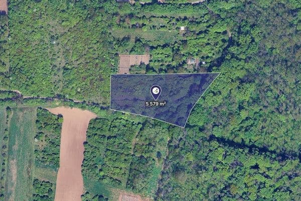 Predaj pozemku 5.579 m², Židlochovice Predaj pozemku 5.579 m², Židlochovice