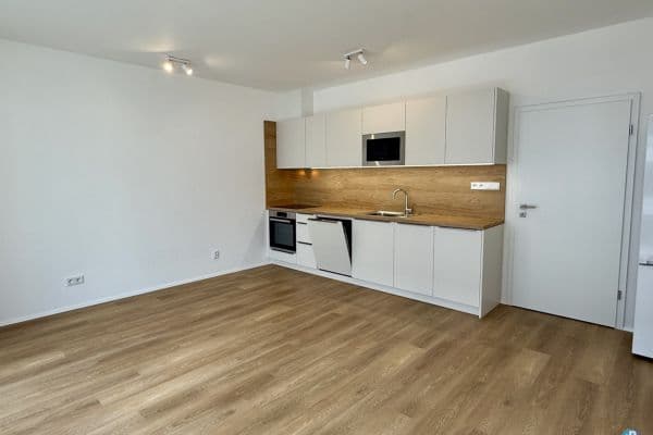 Prenájom bytu 1-izbový 35 m², Železná, Plzeň, Plzeňský kraj Prenájom bytu 1-izbový 35 m², Železná, Plzeň, Plzeňský kraj