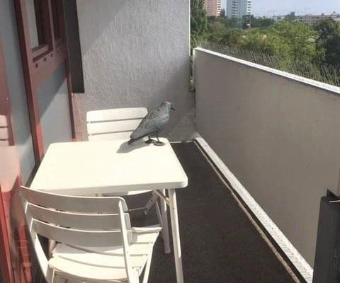 Prenájom bytu 2-izbový 67 m², München, Bavorsko Prenájom bytu 2-izbový 67 m², München, Bavorsko