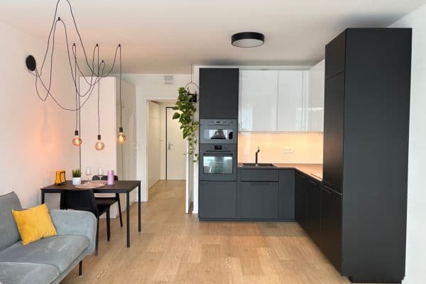 Prenájom bytu 1-izbový 40 m², Skálové, Praha Prenájom bytu 1-izbový 40 m², Skálové, Praha