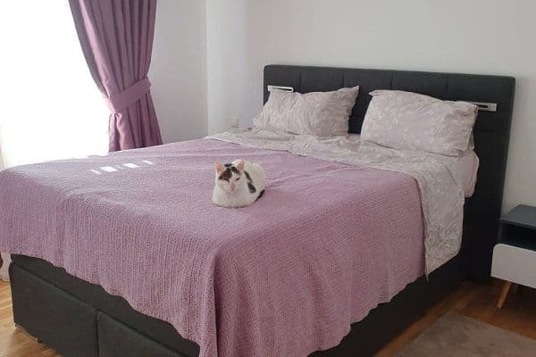 Prenájom bytu 2-izbový 61 m², Roßlauer Str 2, Leipzig, Sasko Prenájom bytu 2-izbový 61 m², Roßlauer Str 2, Leipzig, Sasko
