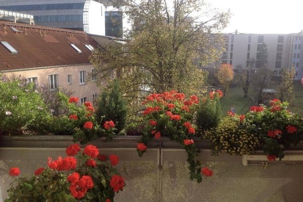 Predaj bytu 3-izbový 85 m², Friedhofsweg 4, Rostock, Meklenbursko-Predpomoransko Predaj bytu 3-izbový 85 m², Friedhofsweg 4, Rostock, Meklenbursko-Predpomoransko