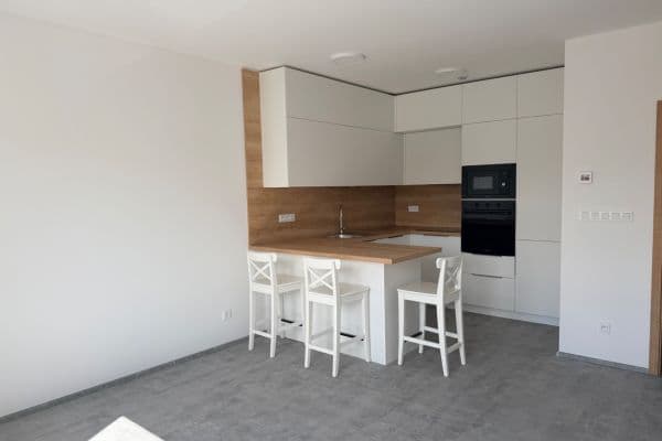 Prenájom bytu 3-izbový 62 m², Břetislavova, Brno Prenájom bytu 3-izbový 62 m², Břetislavova, Brno