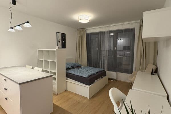 Prenájom bytu 1-izbový 31 m², Železná, Plzeň, Plzeňský kraj Prenájom bytu 1-izbový 31 m², Železná, Plzeň, Plzeňský kraj
