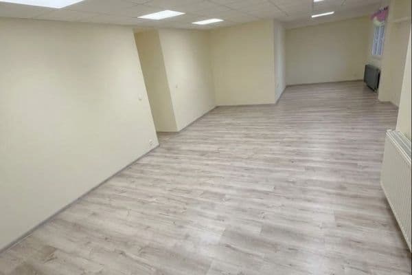 Prenájom nebytového priestoru 90 m², Slovinská, Praha Prenájom nebytového priestoru 90 m², Slovinská, Praha