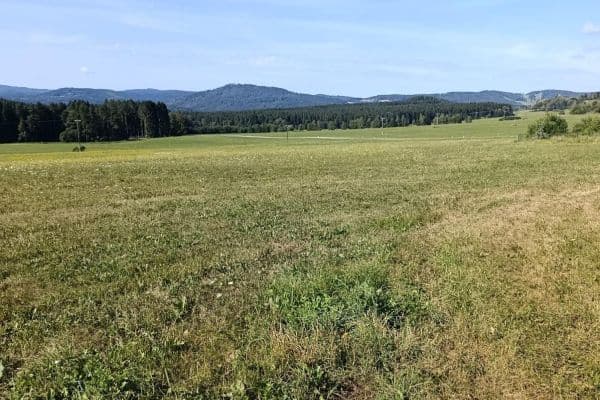 Predaj pozemku 6.999 m², Vyšší Brod Predaj pozemku 6.999 m², Vyšší Brod