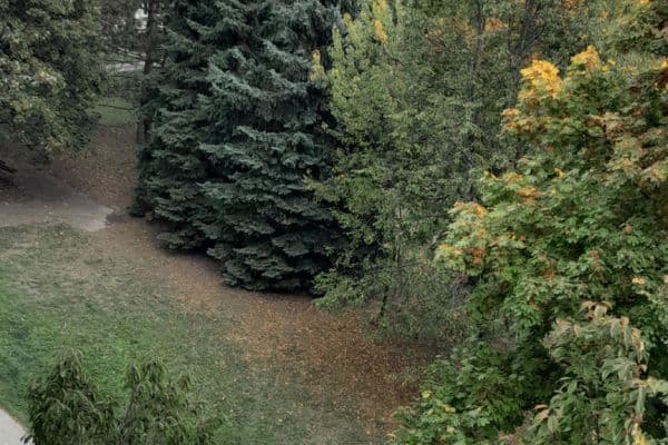 Predaj bytu 1-izbový 38 m², Pod Nemocnicí, Brno Predaj bytu 1-izbový 38 m², Pod Nemocnicí, Brno