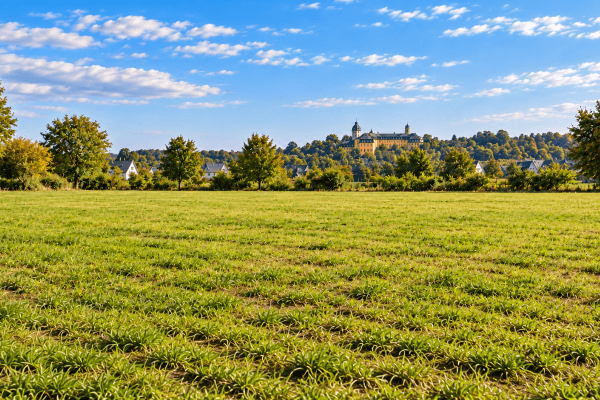 Predaj pozemku 4.000 m², Hachenburg Predaj pozemku 4.000 m², Hachenburg