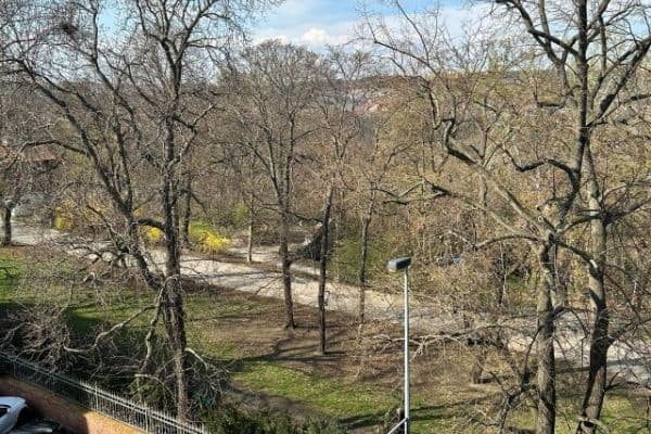 Predaj bytu 2-izbový 77 m², Jana Zajíce, Praha Predaj bytu 2-izbový 77 m², Jana Zajíce, Praha
