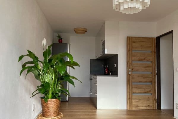 Prenájom bytu 2-izbový 39 m², Lovosická, Praha Prenájom bytu 2-izbový 39 m², Lovosická, Praha