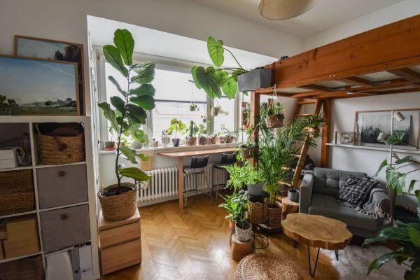 Prenájom bytu 1-izbový 28 m², Botanická, Brno