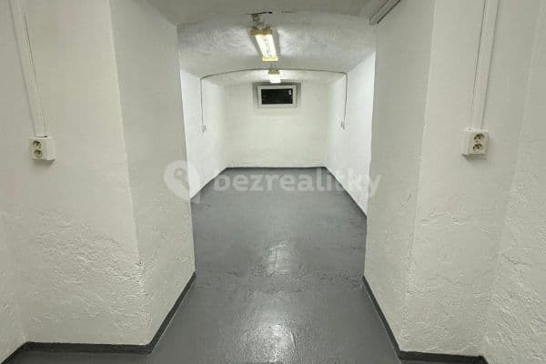 Prenájom nebytového priestoru 20 m², Drahobejlova, Hlavní město Praha
