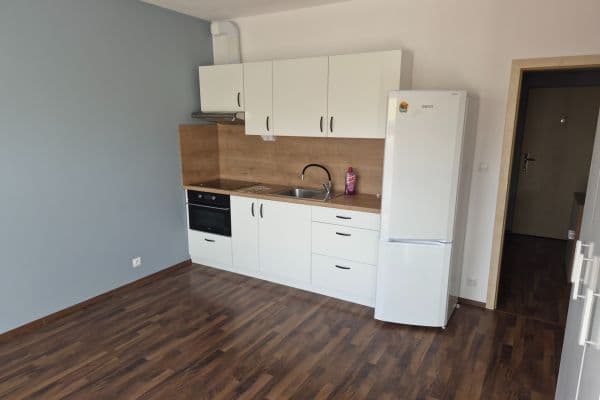 Prenájom bytu 1-izbový 33 m², Kestřanská, Praha Prenájom bytu 1-izbový 33 m², Kestřanská, Praha