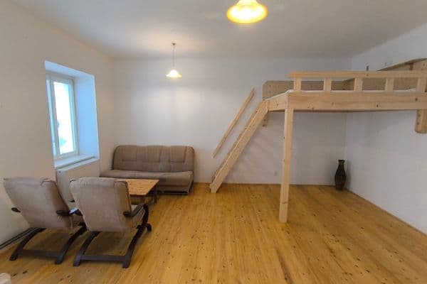 Prenájom bytu 1-izbový 41 m², Karla Weise, Prenájom bytu 1-izbový 41 m², Karla Weise,