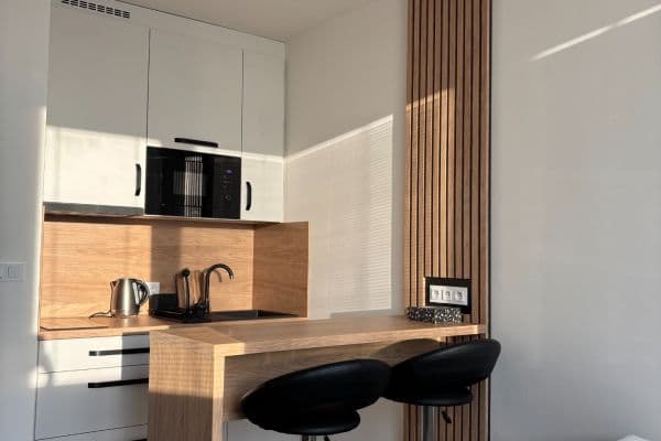 Prenájom bytu 1-izbový 24 m², Halasovo náměstí, Brno Prenájom bytu 1-izbový 24 m², Halasovo náměstí, Brno