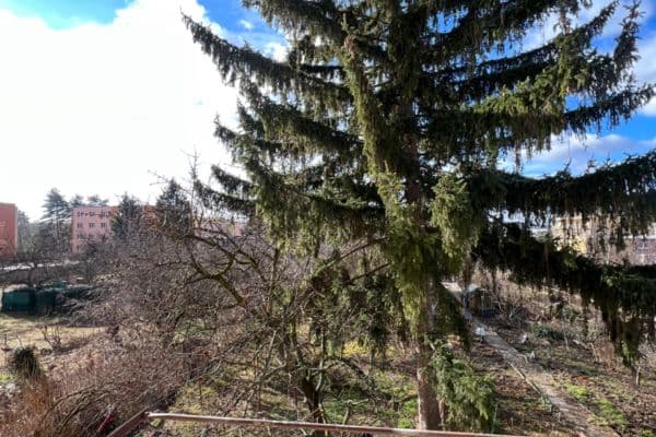 Prenájom bytu 1-izbový 36 m², Tilhonova, Slatina Prenájom bytu 1-izbový 36 m², Tilhonova, Slatina