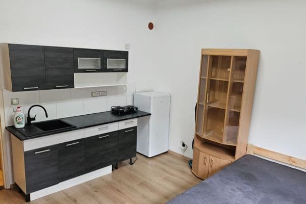Prenájom bytu Garsoniéra 24 m², Jeseniova, Praha, Praha Prenájom bytu Garsoniéra 24 m², Jeseniova, Praha, Praha