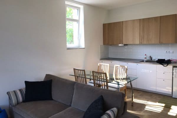 Prenájom bytu 1-izbový 45 m², Celní, Brno Prenájom bytu 1-izbový 45 m², Celní, Brno