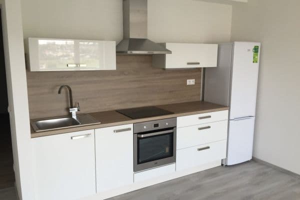 Prenájom bytu 2-izbový 57 m², U Velkého rybníka, Plzeň Prenájom bytu 2-izbový 57 m², U Velkého rybníka, Plzeň