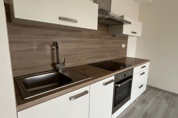 Prenájom bytu 2-izbový 57 m², U Velkého rybníka, Plzeň Prenájom bytu 2-izbový 57 m², U Velkého rybníka, Plzeň