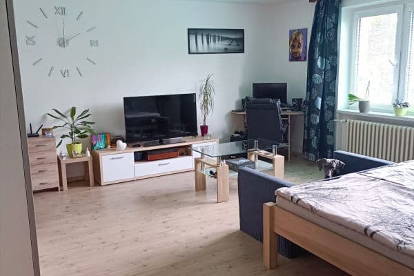 Prenájom bytu 1-izbový 45 m², Barákova, Plzeň, Plzeňský kraj Prenájom bytu 1-izbový 45 m², Barákova, Plzeň, Plzeňský kraj