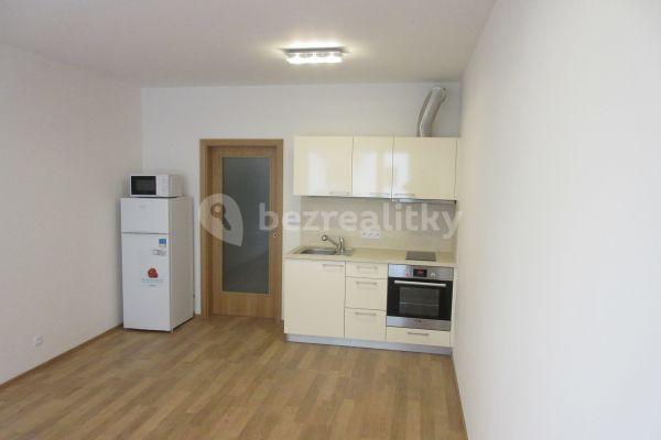 Prenájom bytu 1-izbový 31 m², V Háji, Praha