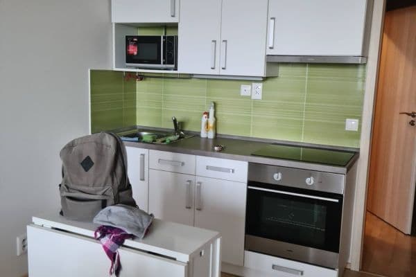 Prenájom bytu 1-izbový 33 m², Freyova, Praha 9 Prenájom bytu 1-izbový 33 m², Freyova, Praha 9