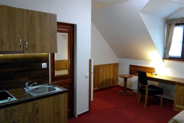 Prenájom bytu 1-izbový 25 m², Na Vinohradu, Praha Prenájom bytu 1-izbový 25 m², Na Vinohradu, Praha