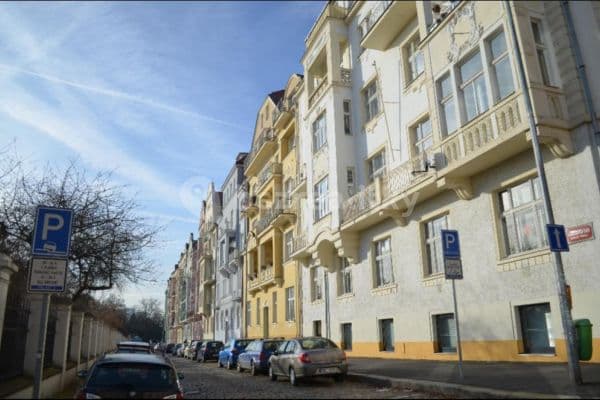 Prenájom bytu 1-izbový 40 m², Rybalkova, Praha
