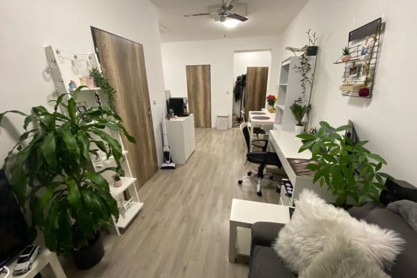 Prenájom bytu 2-izbový 33 m², Bělohorská, Brno Prenájom bytu 2-izbový 33 m², Bělohorská, Brno