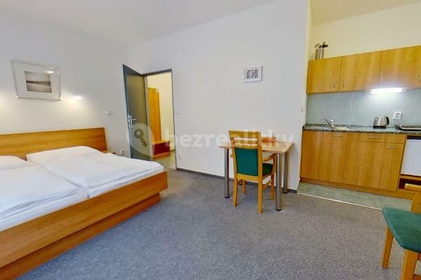 Prenájom bytu Garsoniéra 35 m², Dlouhá, Hradec Králové Prenájom bytu Garsoniéra 35 m², Dlouhá, Hradec Králové