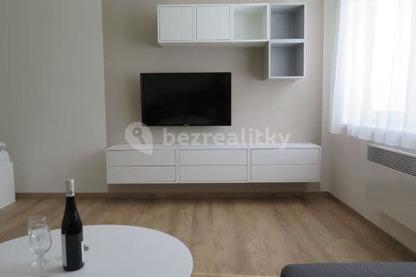 Prenájom bytu 1-izbový 40 m², Českobratrská, Olomouc