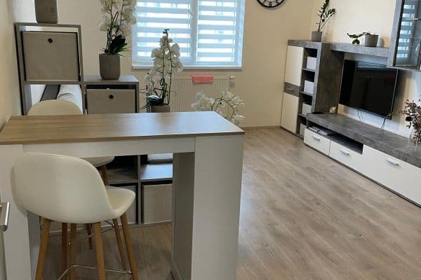 Prenájom bytu 1-izbový 28 m², Technická, Plzeň 3 Prenájom bytu 1-izbový 28 m², Technická, Plzeň 3