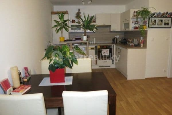 Prenájom bytu 2-izbový 48 m², Tkalcovská, Brno, Jihomoravský kraj