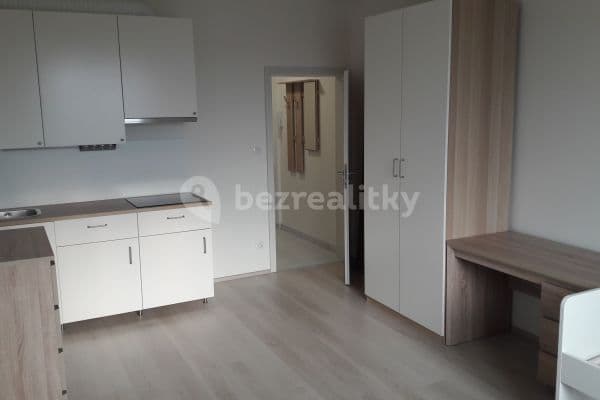 Prenájom bytu 1-izbový 28 m², Plzeň, Plzeňský kraj Prenájom bytu 1-izbový 28 m², Plzeň, Plzeňský kraj