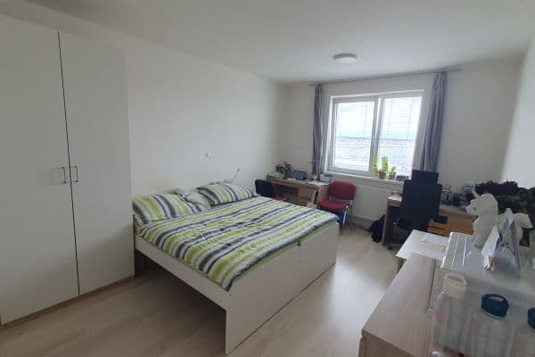 Prenájom bytu 1-izbový 28 m², Technická, Plzeň, Plzeňský kraj Prenájom bytu 1-izbový 28 m², Technická, Plzeň, Plzeňský kraj
