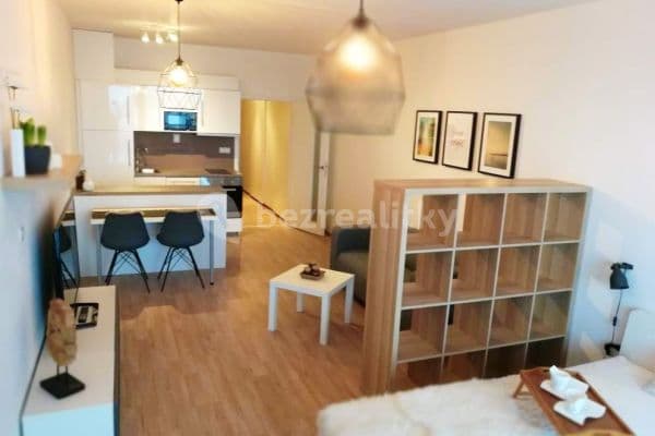 Prenájom bytu 1-izbový 40 m², Řípská, Brno-město