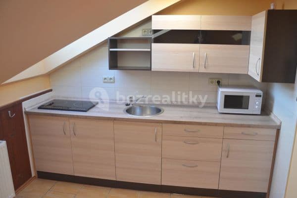 Prenájom bytu 1-izbový 43 m², Hřímalého, Plzeň Prenájom bytu 1-izbový 43 m², Hřímalého, Plzeň