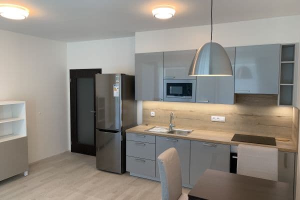 Prenájom bytu 1-izbový 40 m², U Mlýnského kanálu, Hlavní město Praha Prenájom bytu 1-izbový 40 m², U Mlýnského kanálu, Hlavní město Praha