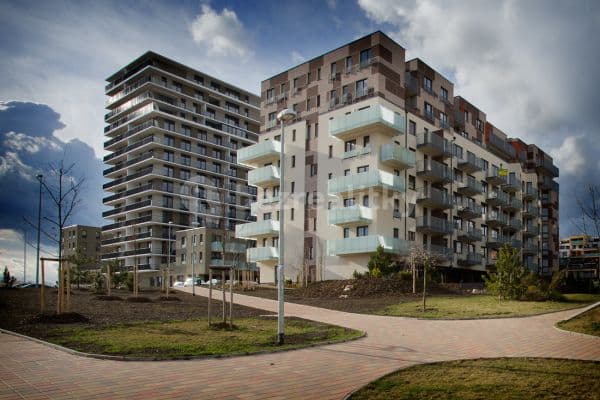 Prenájom bytu 1-izbový 35 m², Svitákova, Praha Prenájom bytu 1-izbový 35 m², Svitákova, Praha
