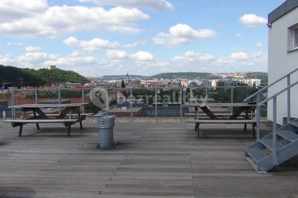 Prenájom bytu 3-izbový 42 m², Molákova, Praha Prenájom bytu 3-izbový 42 m², Molákova, Praha