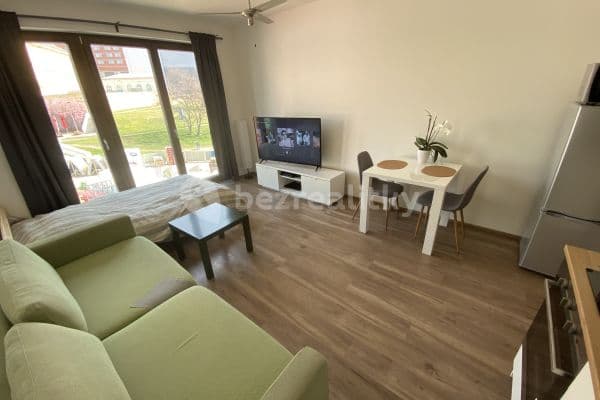 Prenájom bytu 1-izbový 28 m², Bassova, Praha Prenájom bytu 1-izbový 28 m², Bassova, Praha