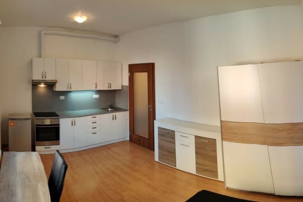 Prenájom bytu 1-izbový 30 m², U Boru, České Budějovice, Jihočeský kraj Prenájom bytu 1-izbový 30 m², U Boru, České Budějovice, Jihočeský kraj