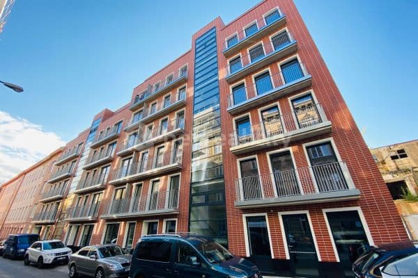 Prenájom bytu 1-izbový 31 m², Spolková, Brno, Jihomoravský kraj Prenájom bytu 1-izbový 31 m², Spolková, Brno, Jihomoravský kraj