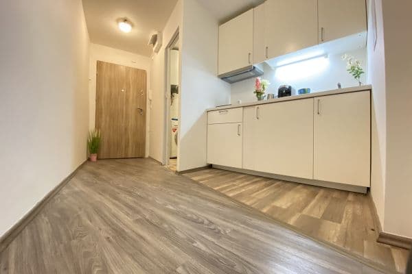 Prenájom bytu 2-izbový 44 m², Ruská, Hlavní město Praha Prenájom bytu 2-izbový 44 m², Ruská, Hlavní město Praha